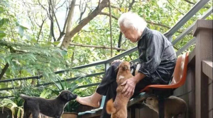 Abuelo chino desde hace más de 30 años proporciona refugio a animales salvajes en su zoológico 