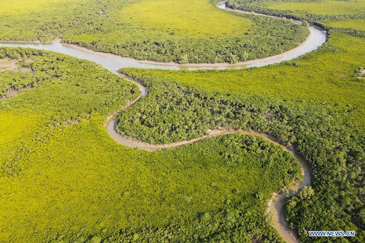 Reserva Natural Nacional de Dongzhaigang en Hainan