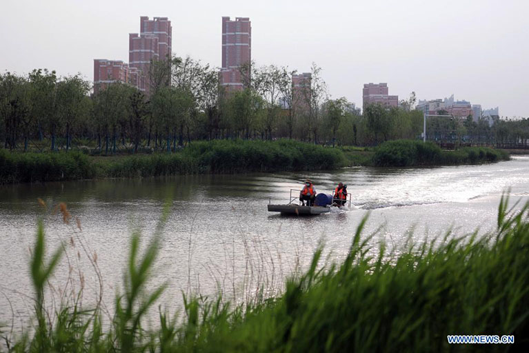 Paisaje a lo largo del Gran Canal en Cangzhou, Hebei