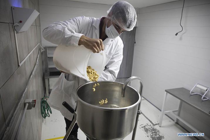 Un trabajador coloca castañas de cajú a una tolva para molerlas en el sector de molienda de la fábrica "Villa Flandria Vegan Foods", en la ciudad de Cortínez, Argentina, el 30 de mayo de 2022. Una fábrica de quesos con materia prima de origen vegetal y de visión sustentable se inauguró recientemente en Argentina, constituyéndose como una empresa pionera dentro de América Latina. (Xinhua/Martín Zabala)