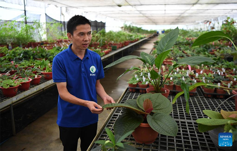 Inaugurado en Guangzhou Jardín Botánico Nacional del Sur de China