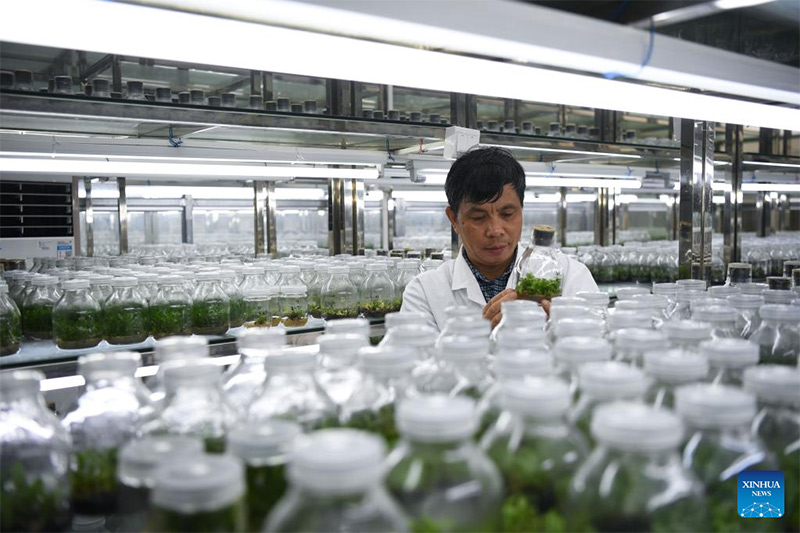 Inaugurado en Guangzhou Jardín Botánico Nacional del Sur de China