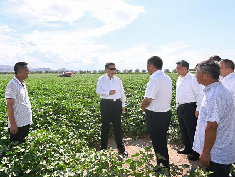 Xi enfatiza implementación de políticas del PCCh sobre Xinjiang y subraya estabilidad y seguridad en la región