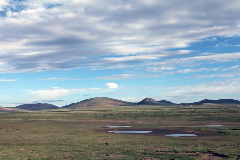 La pradera de Qiangtang en el norte del Tíbet con una altitud media de más de 4.500 metros. Foto de You Bing/Pueblo en Línea