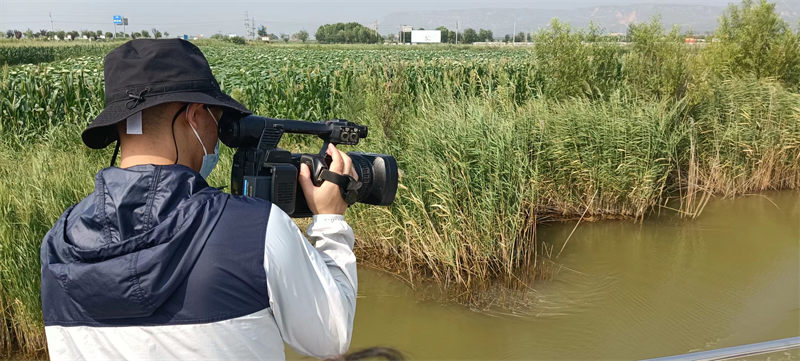 Periodistas del Foro de Cooperación de Medios de la Franja y la Ruta 2022 recorren Weinan, Shaanxi