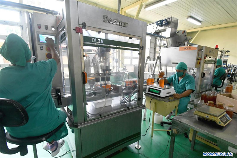 Imagen del 10 de agosto de 2022 de trabajadores laborando en una línea de llenado de miel en la Unidad Empresarial de Base Planta de Envasado, en la comunidad El Cano, en el municipio de La Lisa, en La Habana, Cuba. El director técnico de la Unidad Empresarial de Base Apícola de Matanzas, Rubén Lugo, precisó que se trata de la provincia con mayor producción de miel y población apícola del país caribeño, con entrega de 1.500 y 1.900 toneladas anuales. (Xinhua/Joaquín Hernández)