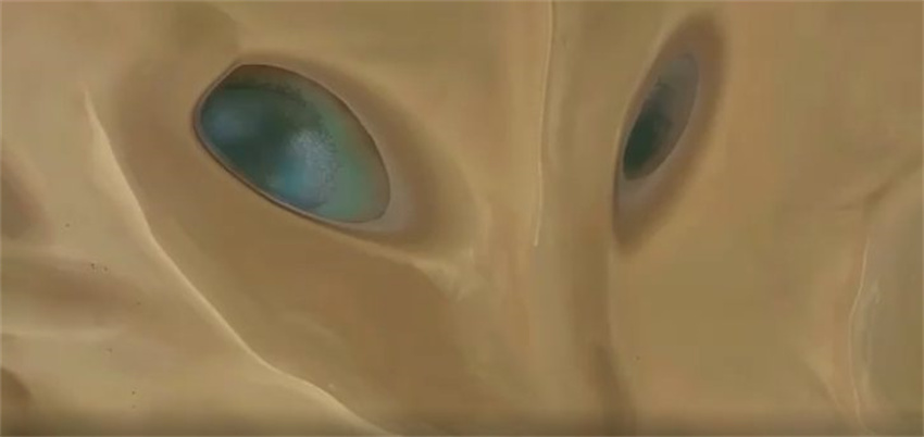 La captura de video muestra una imagen de la cara de un zorro formada por dos charcos de agua y una cresta de arena afilada en el desierto de Kumukuli. (Fuente: China Media Group)