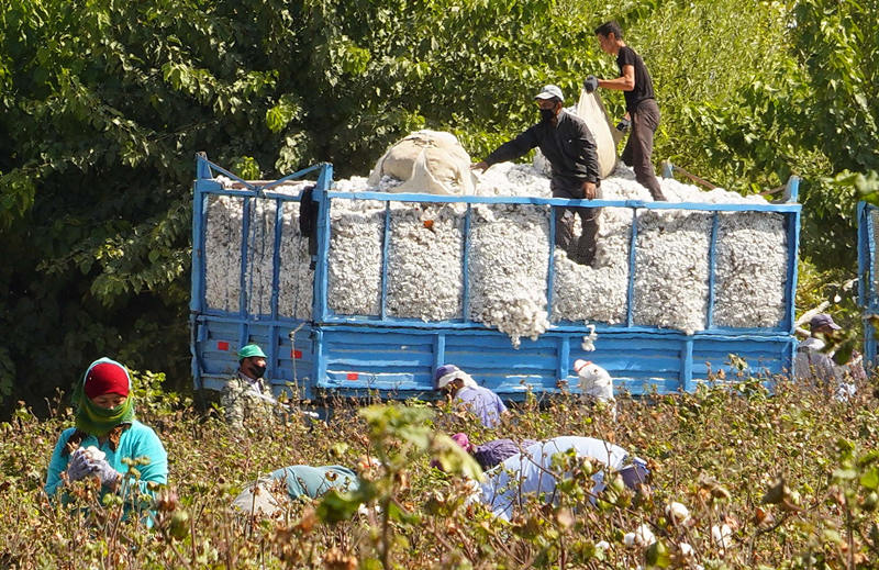 Uzbekistán obtiene experiencias de la reducción de la pobreza en China