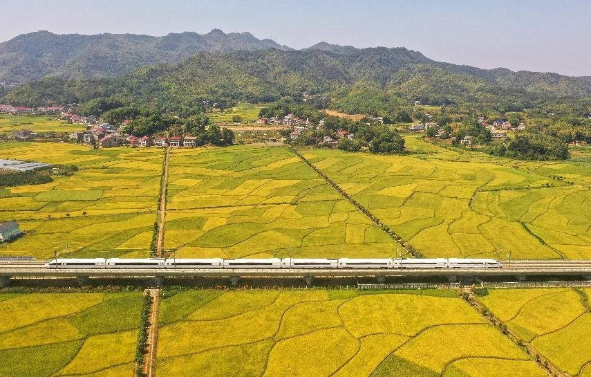 Tren bala circula en Heshan, Yiyang, provincia de Hunan, a lo largo del ferrocarril de alta velocidad Chongqing-Xiamen, 6 de septiembre del 2022. (Foto: Pueblo en Línea/Guo Liliang)