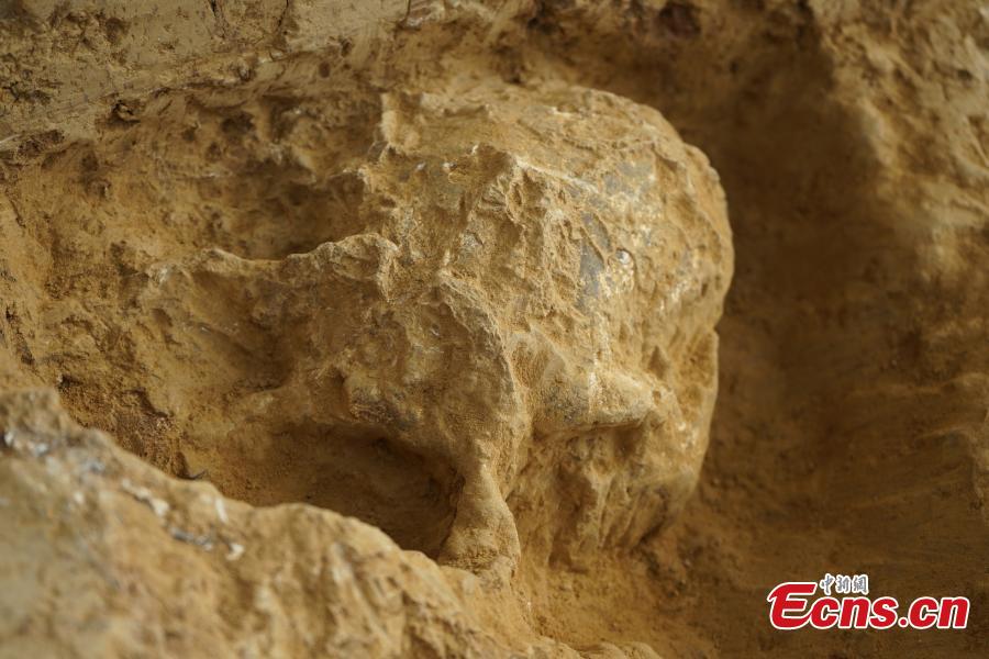 Descubren en Hubei un fósil de cráneo humano de un millón de años