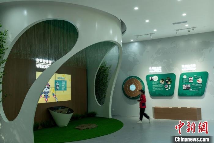 El primer museo del panda gigante ofrecerá una intensa experiencia inmersiva