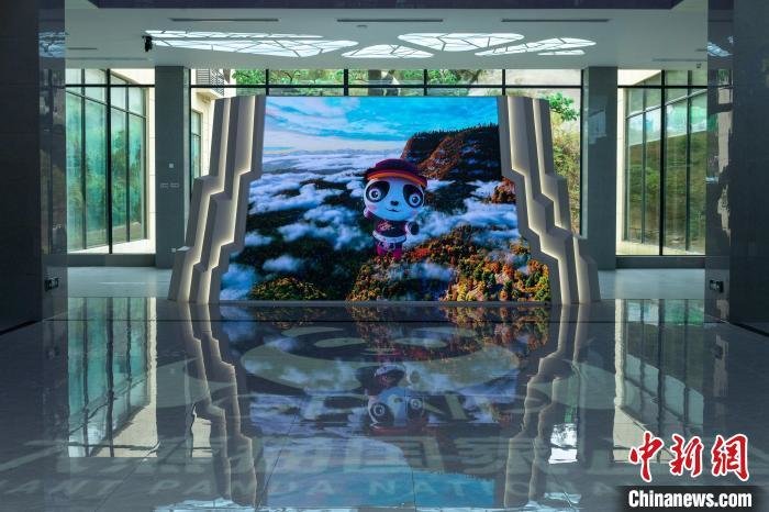 El primer museo del panda gigante ofrecerá una intensa experiencia inmersiva