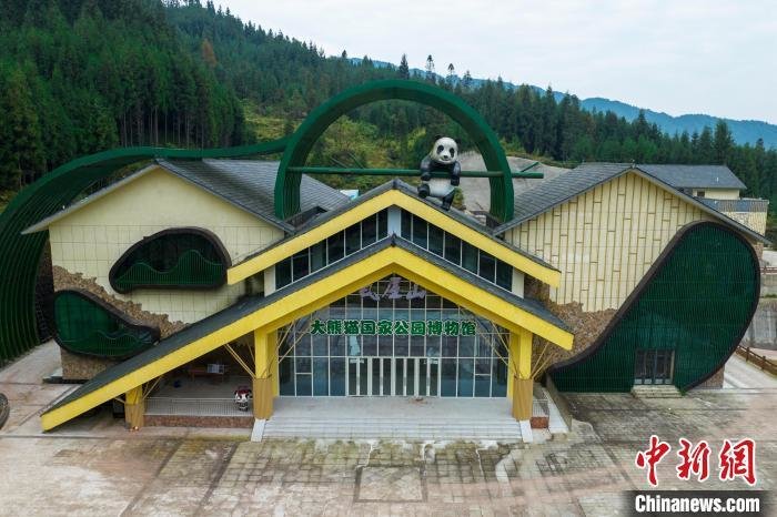 El primer museo del panda gigante ofrecerá una intensa experiencia inmersiva