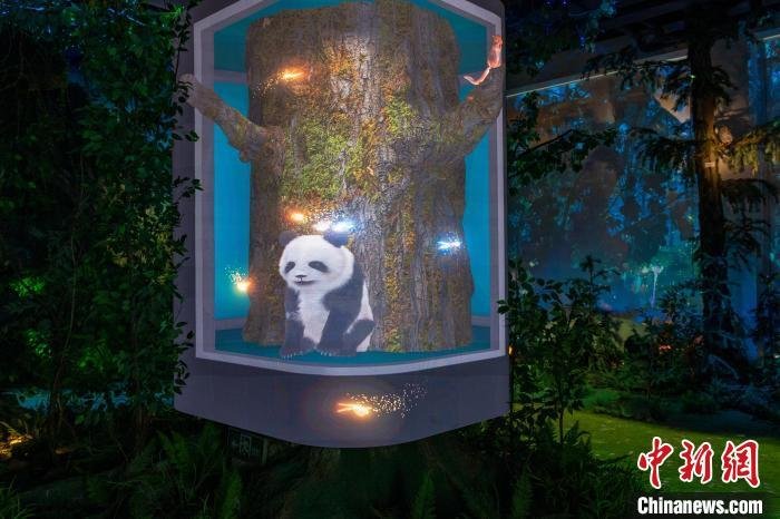 El primer museo del panda gigante ofrecerá una intensa experiencia inmersiva
