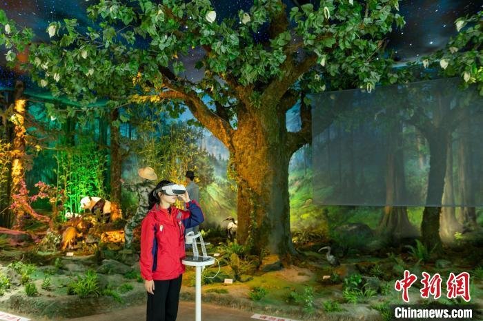 El primer museo del panda gigante ofrecerá una intensa experiencia inmersiva