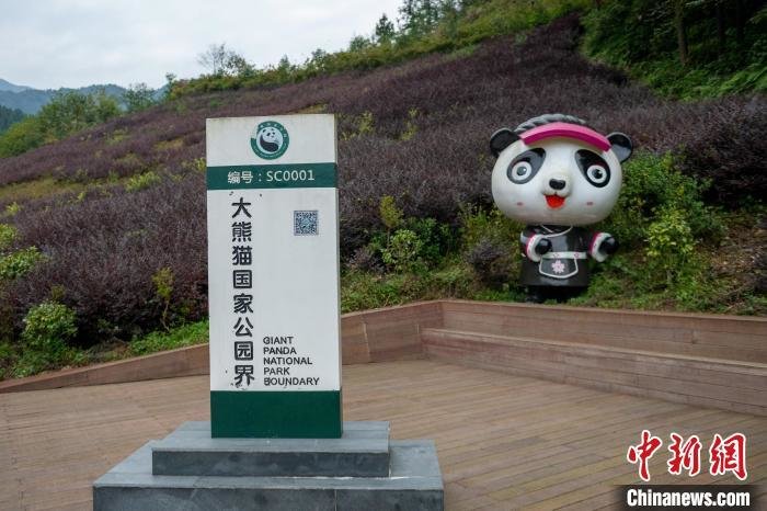 El primer museo del panda gigante ofrecerá una intensa experiencia inmersiva