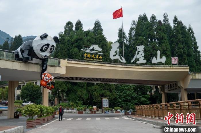 El primer museo del panda gigante ofrecerá una intensa experiencia inmersiva