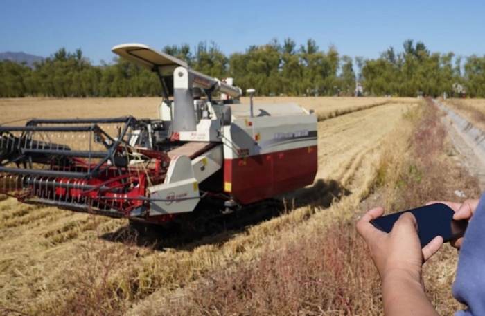 Una granja inteligente en Haidian de Beijing materializa la digitalización