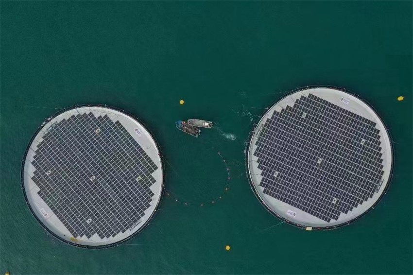 Una granja de energía solar flotante entró en servicio recientemente en aguas a 30 kilómetros de Haiyang, provincia de Shandong. [Fotos de Li Ran/para chinadaily.com.cn]