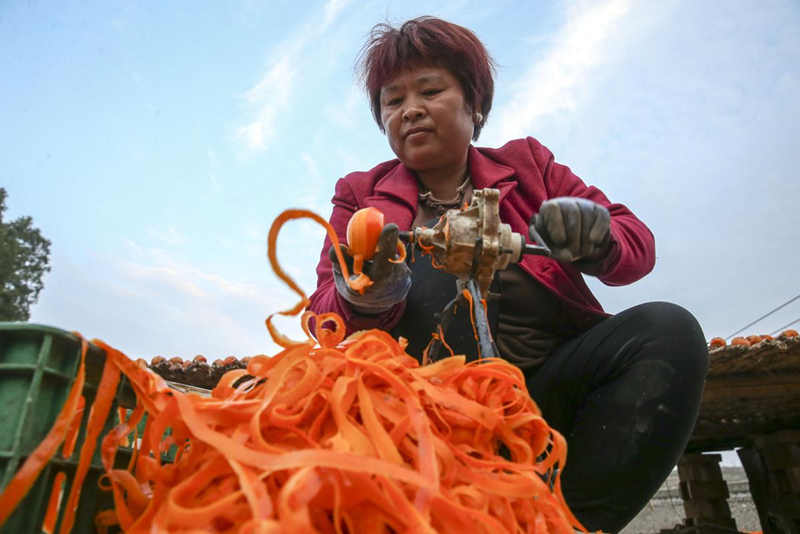 Shanxi logra una abundante cosecha de caqui