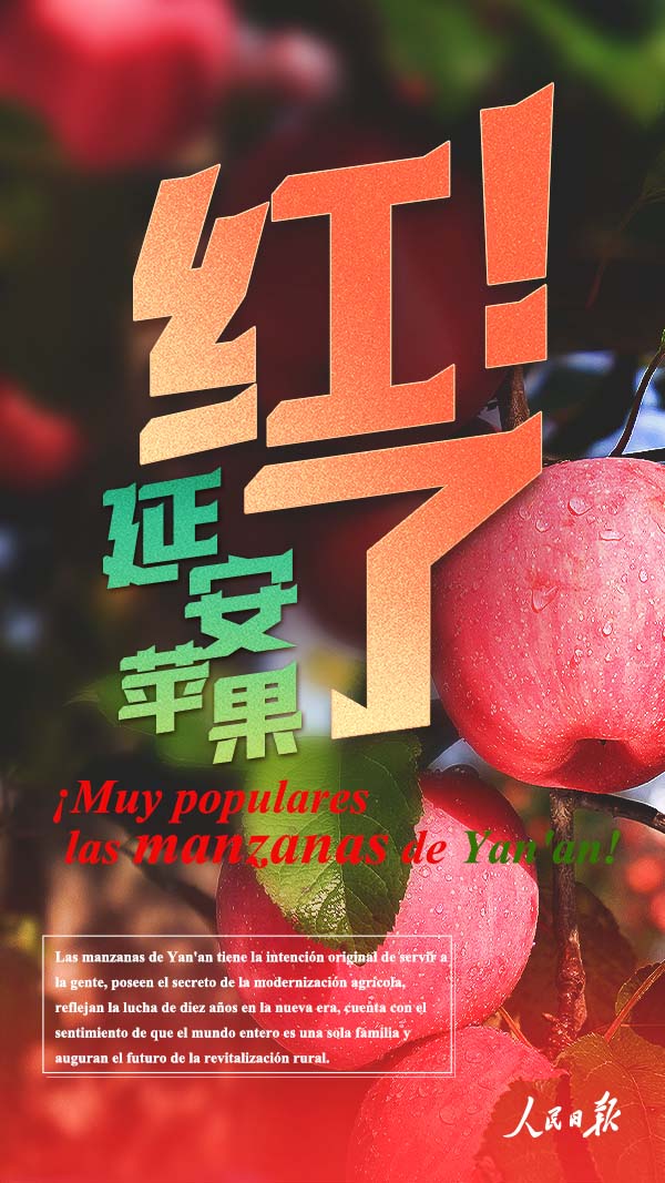¿Por qué las manzanas de Yan'an son tan populares?