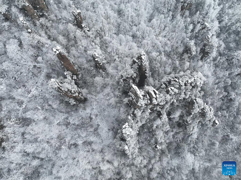 En fotos: la montaña Tianzi cubierta de nieve en Zhangjiajie, provincia china de Hunan 