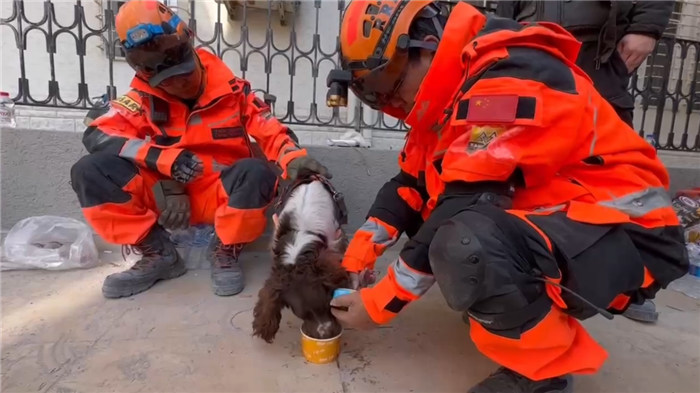 Gao Zhijiang permanece al lado de Lucky durante un descanso en los esfuerzos de socorro. (Foto: proporcionada por el Equipo de Rescate de Ramunion)