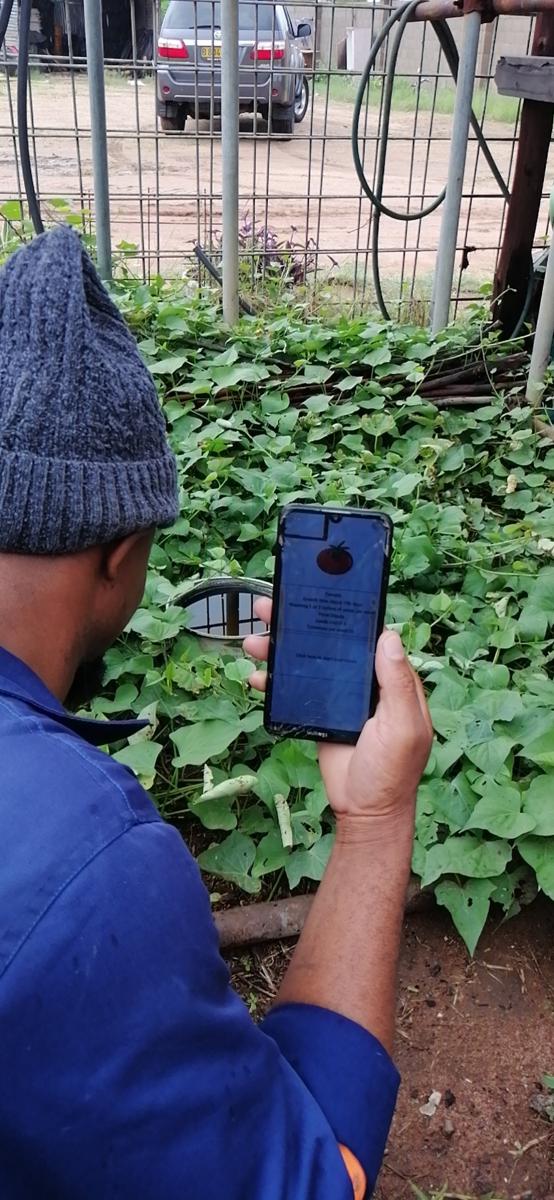 Un joven chino de 11 años ayuda a los agricultores de Botswana