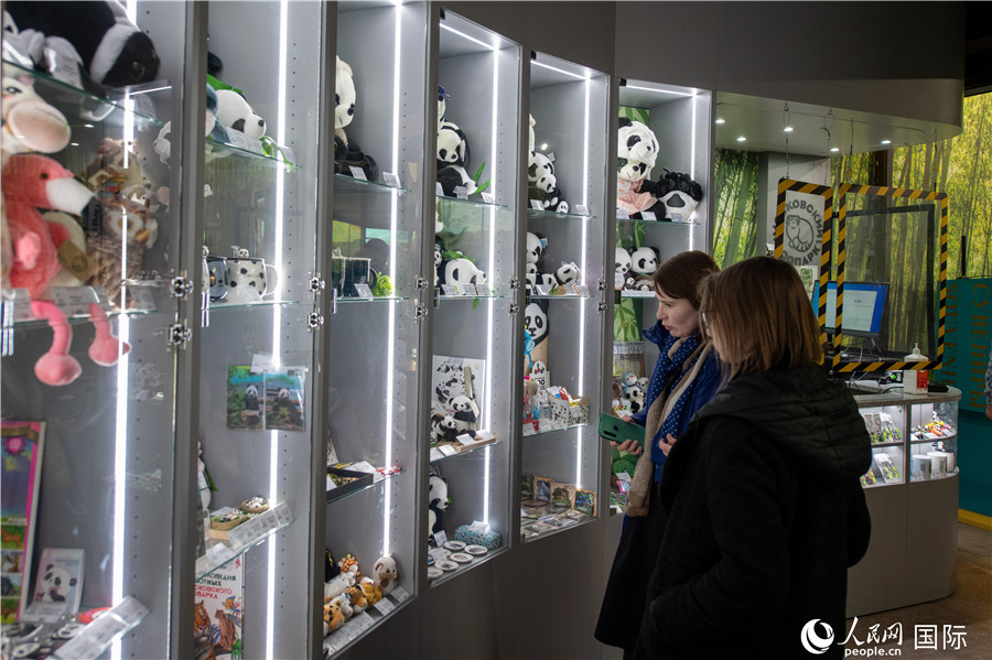 Pandas gigantes del Zoológico de Moscú atraen turistas
