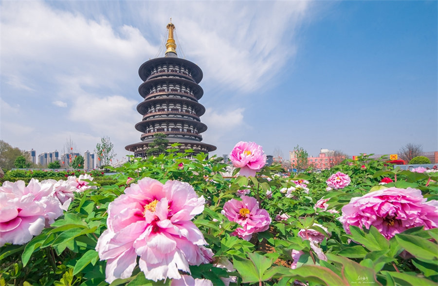 El Templo Tian, también llamado el "Templo Sagrado del Cielo", en Luoyang. (Foto: Departamento de Publicidad del Comité Municipal del PCCh de Luoyang)