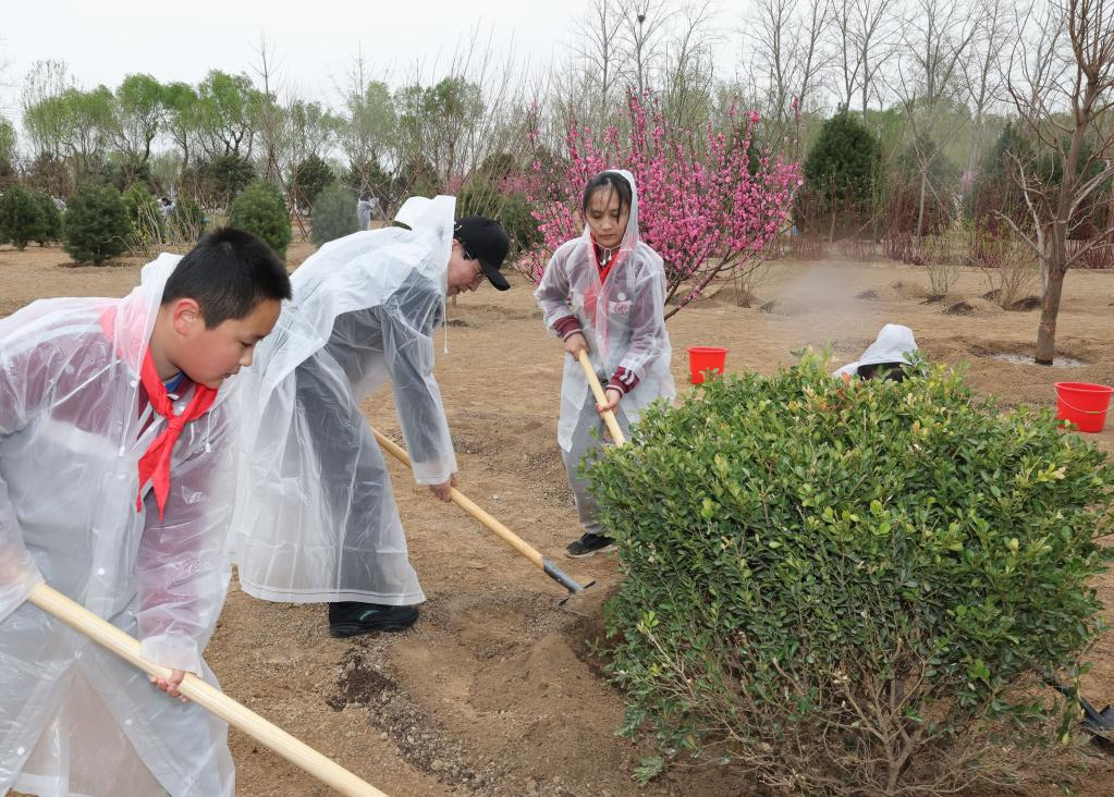 Xi planta árboles en Beijing y pide más esfuerzos de forestación para desarrollo verde y construcción de China hermosa