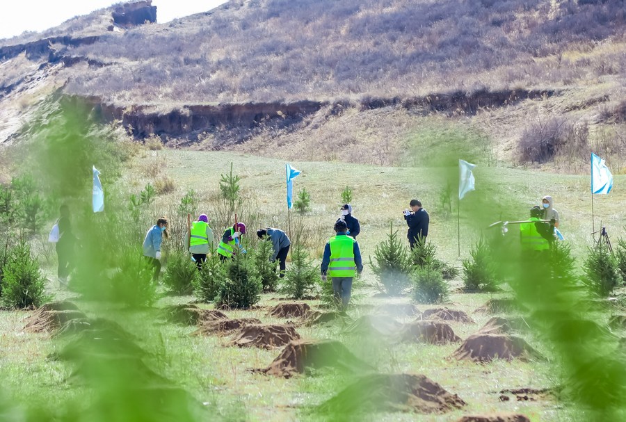 Región china de Mongolia Interior aportará 14,48 millones de dólares a forestación a gran escala de tierras arenosas
