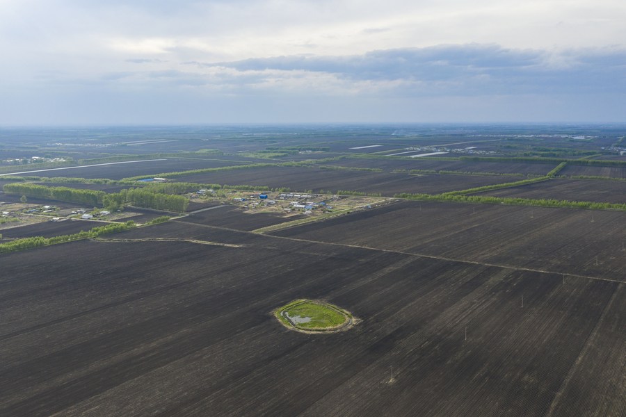 Panorámica aérea de un área de suelo negro recién sembrada, en el pueblo Guangrong de la ciudad de Hailun, en la provincia nororiental china de Heilongjiang, el 23 de mayo de 2023. (Xinhua/Xie Jianfei)