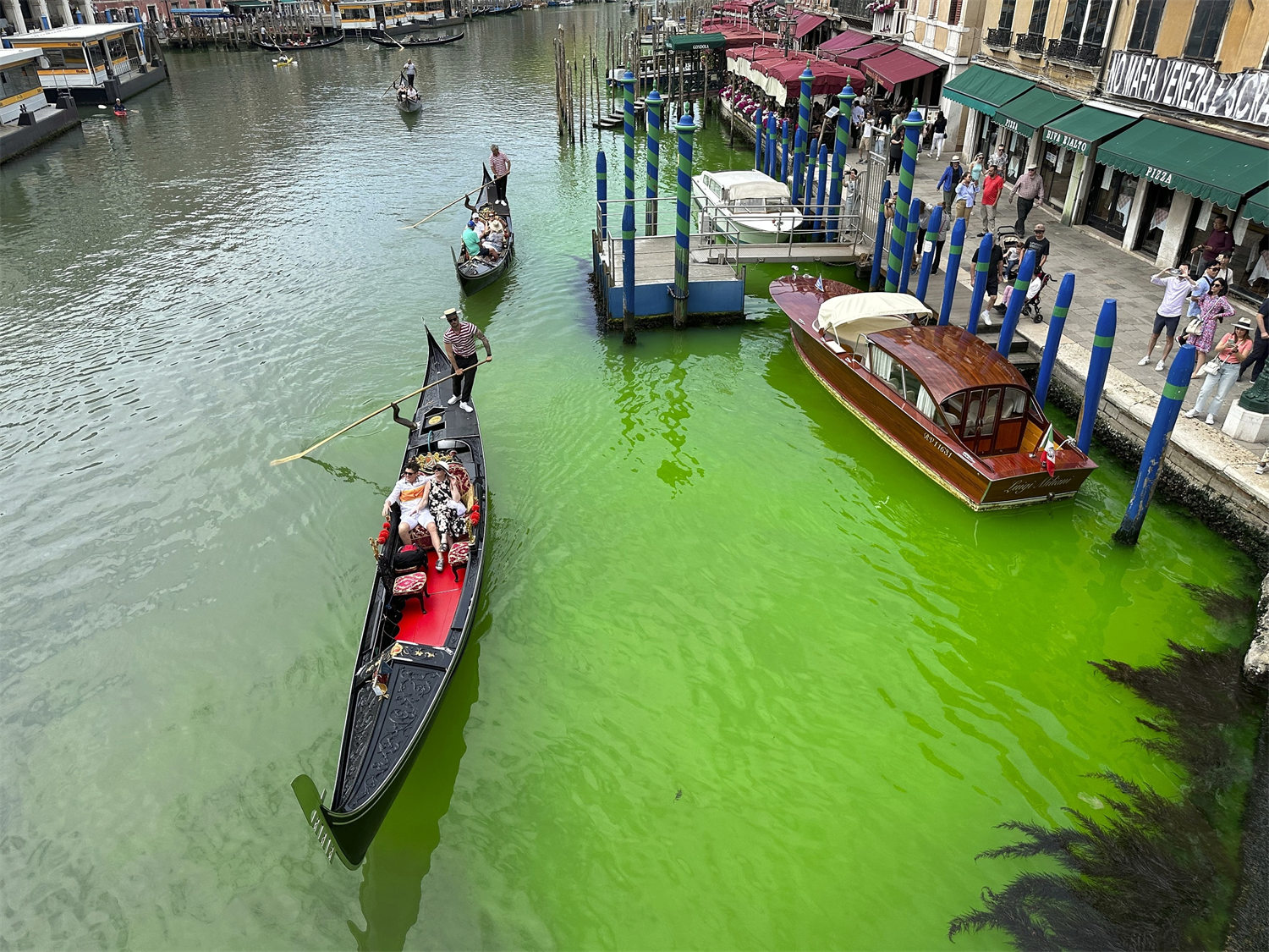 El Gran Canal de Venecia se tiñe de verde fluorescente