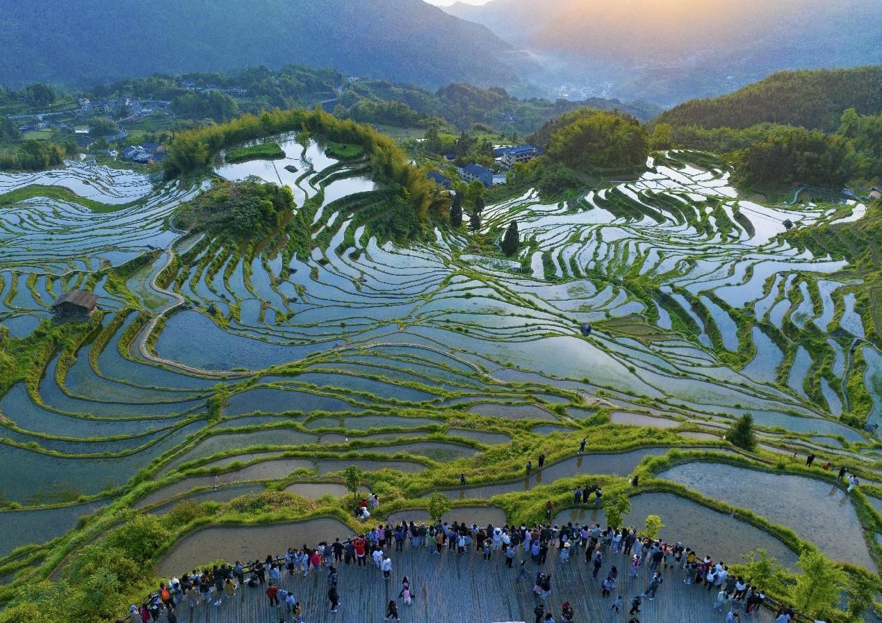 Turistas visitan una terraza en el condado de Yunhe, Lishui, provincia de Zhejiang. (Foto: Diario del Pueblo digital/ Wang Jinhong)
