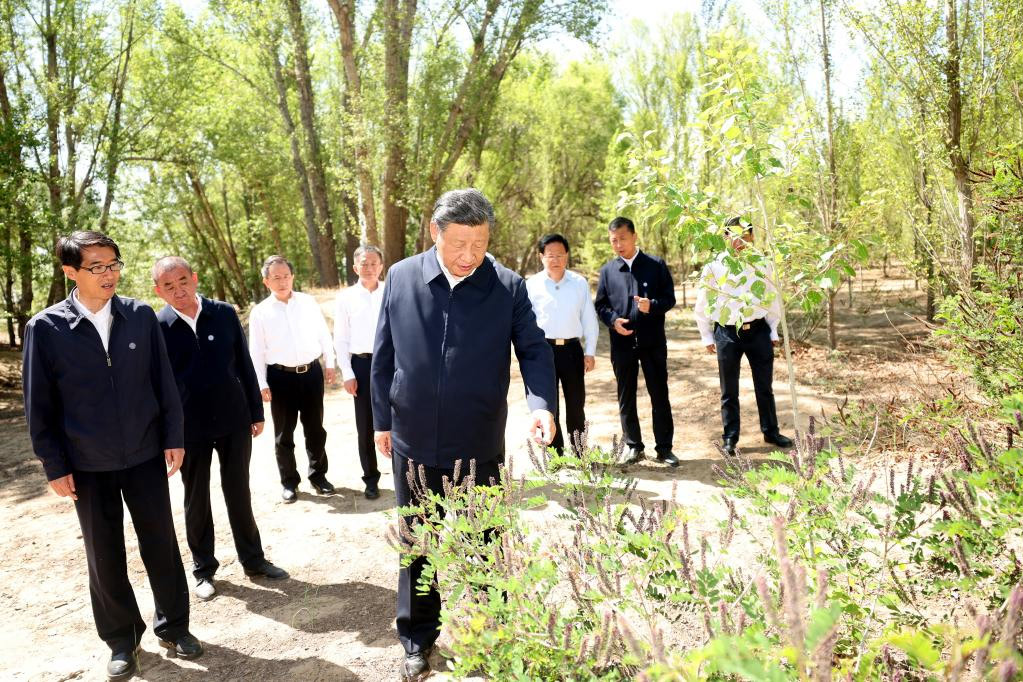 Xi pide esfuerzos sostenidos para crear nuevos milagros en lucha contra la desertificación