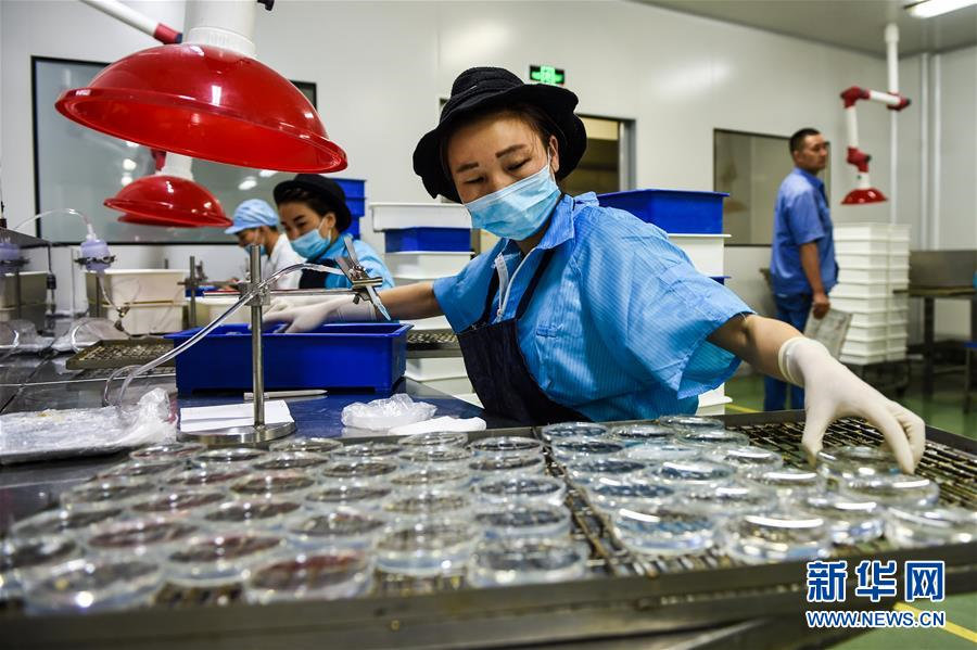 Danyang, la capital de las gafas en China: produce más de 400 millones de gafas al año, lo que representa la mitad del total mundial