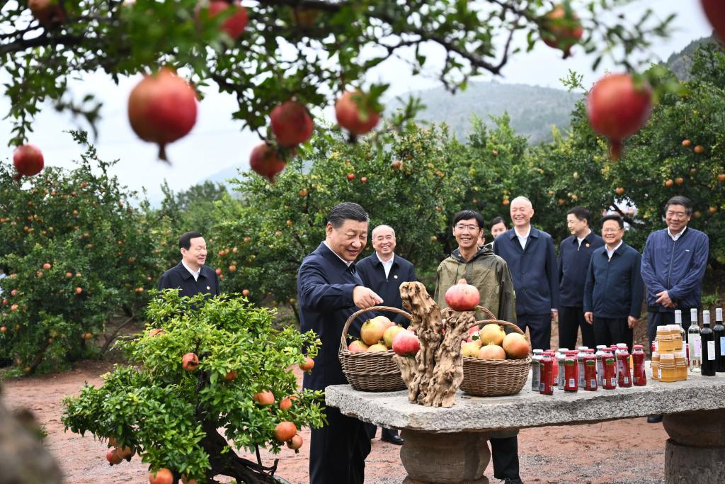 Xi insta a Zhejiang a escribir nuevo capítulo en impulso de modernización china