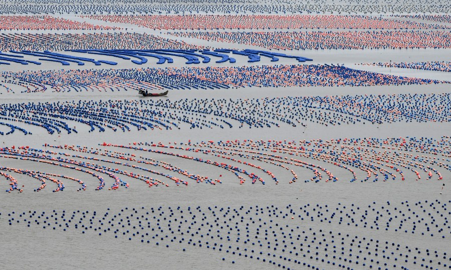 Pescadores trabajan en una granja marina en el distrito de Lianjiang de Fuzhou, provincia oriental china de Fujian, el 5 de enero de 2023. (Xinhua/Wang Wangwang)