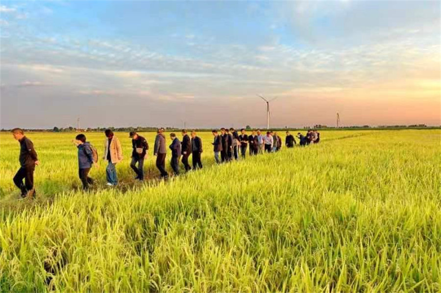 Presentan en Hubei nueva vacuna vegetal para el arroz