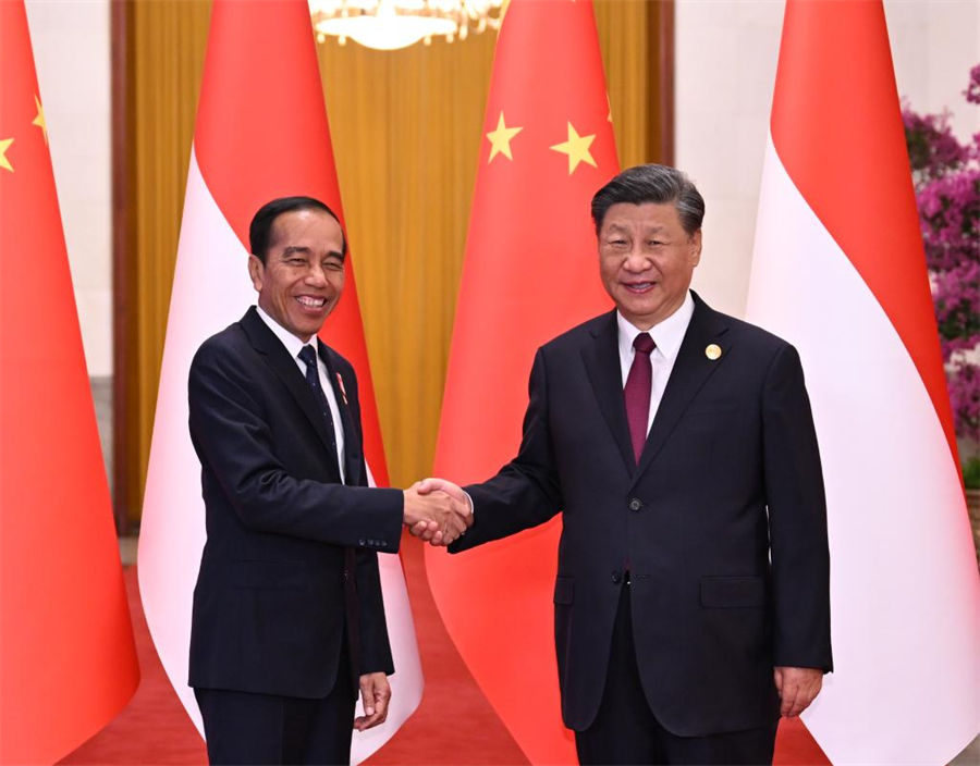 Xi se reúne con presidente indonesio