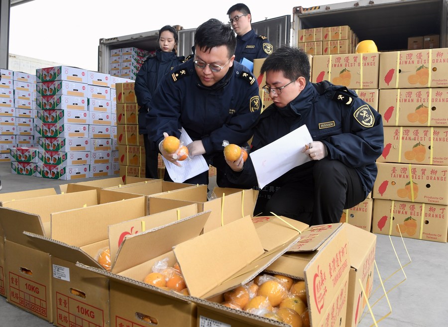 Imagen de archivo de policías de aduana revisando cajas con fruta proveniente de Taiwán, en el sureste de China, el 20 de enero de 2019. (Xinhua/Jiang Kehong)