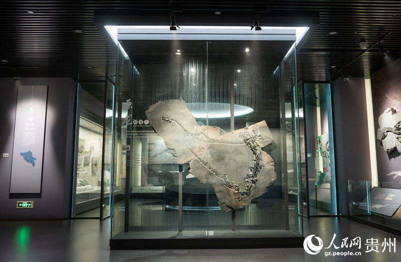 Periodistas de Europa y Asia visitan el Museo Geológico de Guizhou