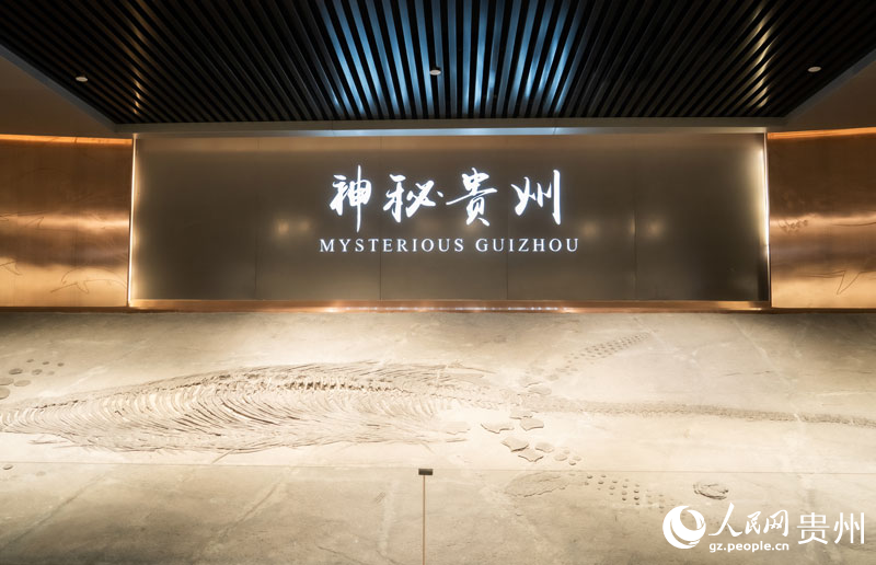 Periodistas de Europa y Asia visitan el Museo Geológico de Guizhou