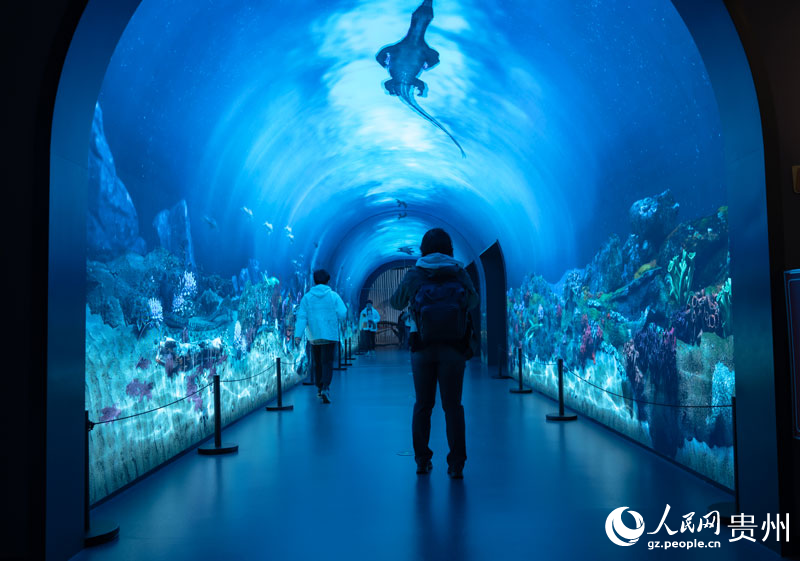 Periodistas de Europa y Asia visitan el Museo Geológico de Guizhou