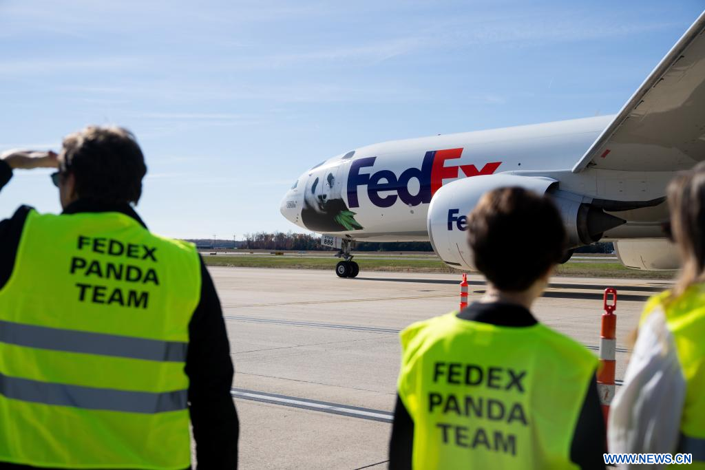 Pandas gigantes Mei Xiang, Tian Tian y Xiao Qi Ji parten de zoológico de Washington rumbo a China