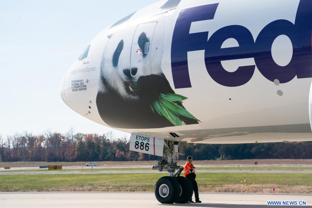 Un avión que transporta pandas gigantes es visto en el Aeropuerto Internacional de Dulles, en Dulles, Virginia, Estados Unidos, el 8 de noviembre de 2023. Los pandas gigantes Mei Xiang, Tian Tian y su cachorro macho Xiao Qi Ji partieron el miércoles del Zoológico Nacional del Smithsonian en Washington, D.C., concluyendo su estancia en Estados Unidos y emprendiendo su viaje de regreso a China. En una breve ceremonia celebrada en el zoológico, los cuidadores escoltaron tres jaulas especiales, cada una con un panda, para recorrer Olmsted Walk frente a los miembros de la prensa. Posteriormente, las jaulas fueron subidas a camiones que se dirigían al aeropuerto internacional de Dulles. (Xinhua/Liu Jie) 