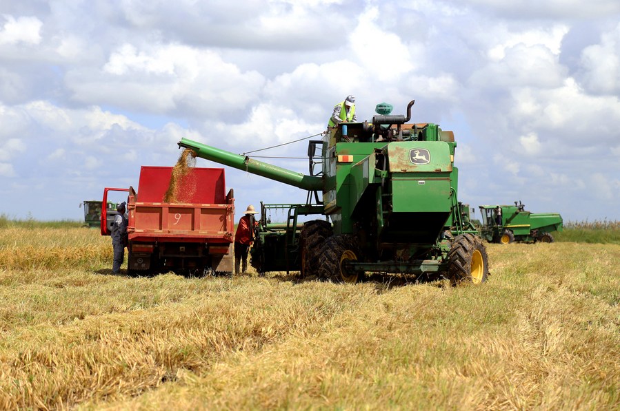 Imagen de archivo del 4 de abril de 2018 de un agricultor cargando un camión con arroz en la granja de arroz de Wanbao, la mayor en su tipo realizada por China en África, en la provincia de Gaza, Mozambique. (Xinhua/Str)