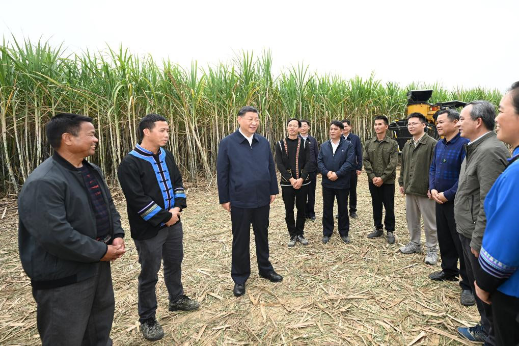 Xi inspecciona ciudad de Laibin de Guangxi en sur de China