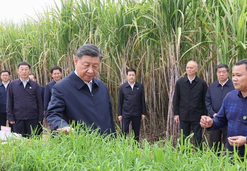 Xi inspecciona ciudad de Laibin de Guangxi en sur de China